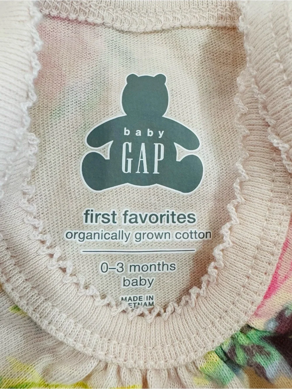 GAP Baby Girls Floral & Pink Ruffle One-Piece Bodysuit Set